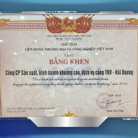 TNV HẢI DƯƠNG VINH DỰ NHẬN GIẢI THƯỞNG VCCI 