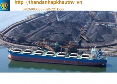 Nhập khẩu than  Indonesia - Làn sóng mới đến từ Châu Âu