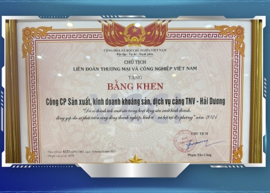 TNV HẢI DƯƠNG VINH DỰ NHẬN GIẢI THƯỞNG VCCI