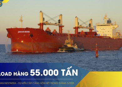 LOAD HÀNG 55.000 TẤN THAN INDONESIA – TÀU MV JAHAN MONI
