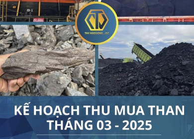KẾ HOẠCH THU MUA THAN THÁNG 03 - 2025