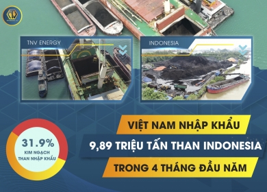 THỊ TRƯỜNG THAN NHẬP KHẨU: INDONESIA VẪN DẪN ĐẦU