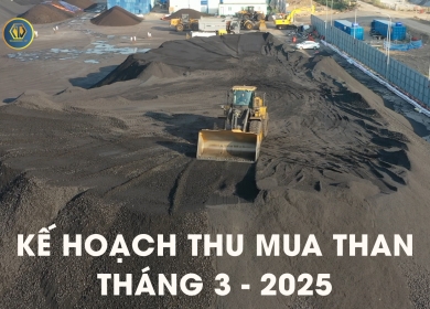 KẾ HOẠCH THU MUA THAN THÁNG 03 - 2025