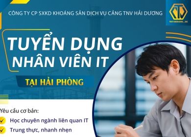 TUYỂN DỤNG NHÂN VIÊN IT - LÀM VIỆC TẠI HẢI PHÒNG